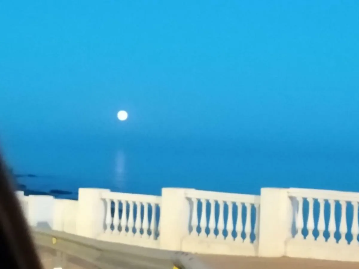 Plaza del Remo Seewt&Beach Torremolinos